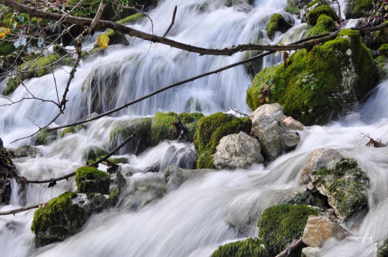 Appartamento Apartma Pr' Stengarju Bohinjska Bela Esterno foto